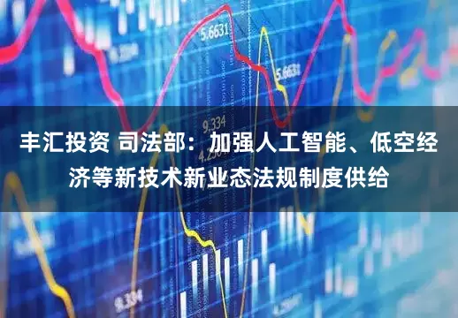 丰汇投资 司法部：加强人工智能、低空经济等新技术新业态法规制度供给