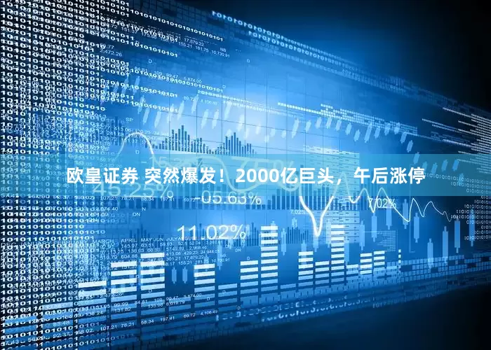 欧皇证券 突然爆发！2000亿巨头，午后涨停